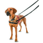Halti Harness Large Black - Bilde 3