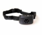 Active Canis No bark collar Max Performance with USB - Bilde 2