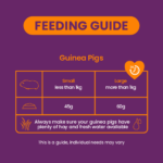 Burgess Excel Guinea Pig Blackcurrant & Oregano 1,5 kg - Bild 4